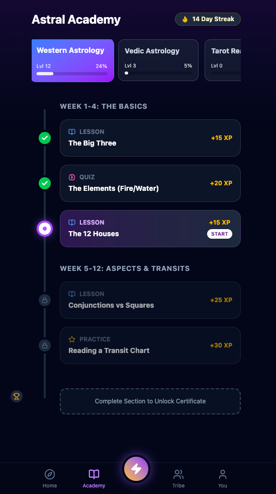 Cosmyn App Interface